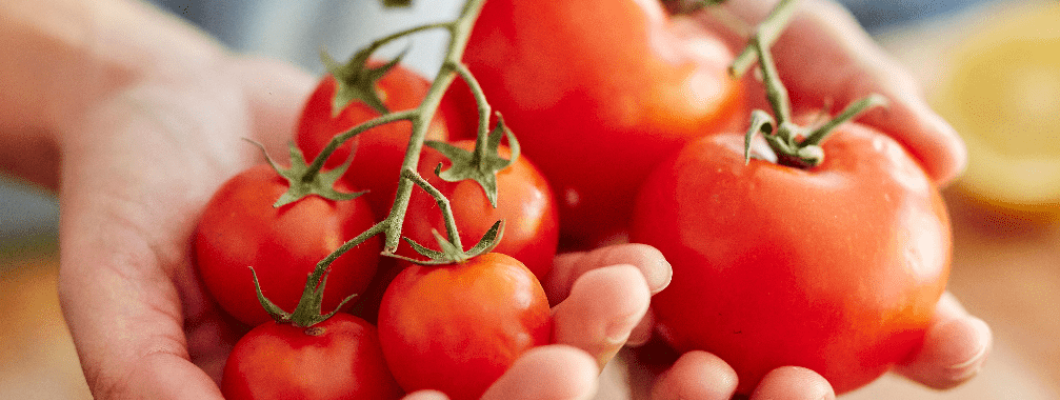 Health Benefits of Hybrid Tomatoes: Why Should We Consume More?