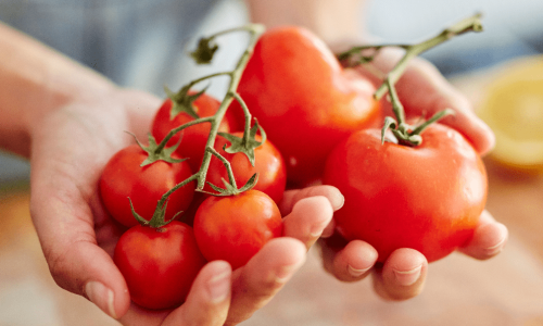 Health Benefits of Hybrid Tomatoes: Why Should We Consume More?